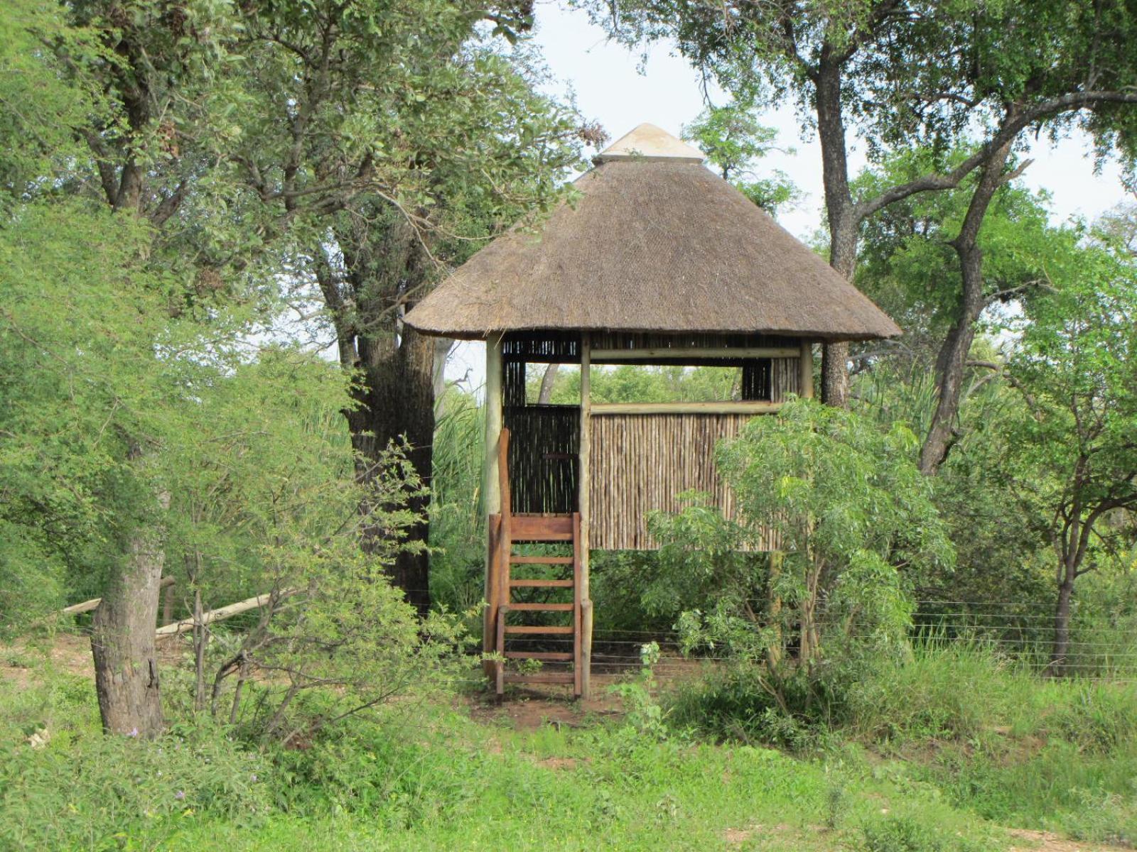 Lodge 54 Hoedspruit Ngoại thất bức ảnh